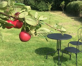 Rosebank B&B - Etchingham - Patio
