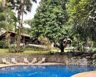 Blue Banyan Inn - Quepos - Pool