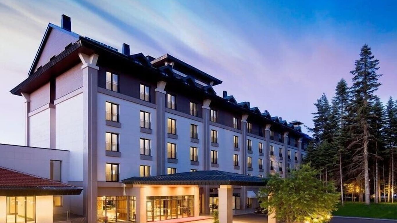 Ilgaz Mountain Resort Hotel