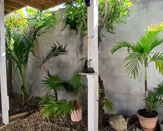 Garden Lodge Hotel - Placencia