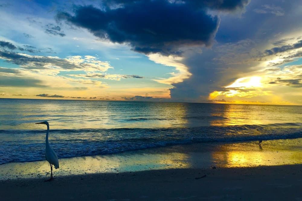 Carousel Suites -Redington Shores - Redington Shores - Strand