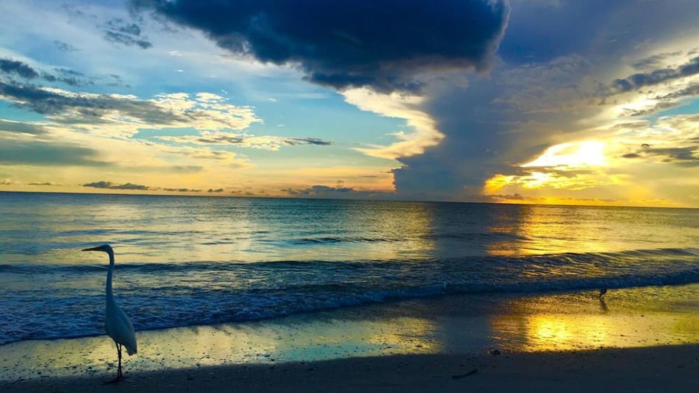 Carousel Suites -Redington Shores