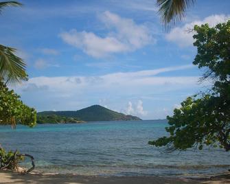 Sapphire Desire Amazing Views!! - Oceanfront Condo St. Thomas, VI - Cruz Bay - Beach