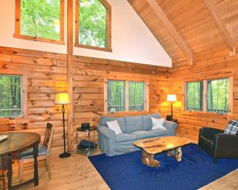 Perfect Escape For Total Privacy, Rustic Modern Cabin, 15 Pvt. Ac, Wifi, Heat/Ac - Mount Tremper - Living room