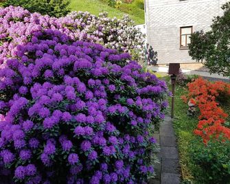 Ferienwohnung Baacke - Ruhla