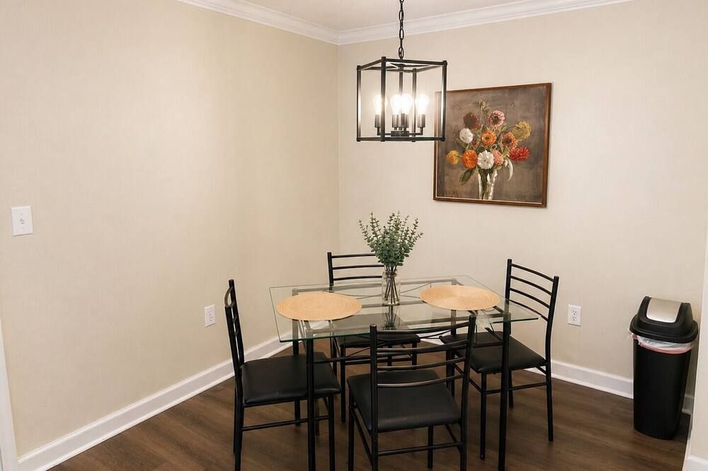 Cozy 2-bedroom apartment with AC in marvelous Tampa - Tampa - Comedor