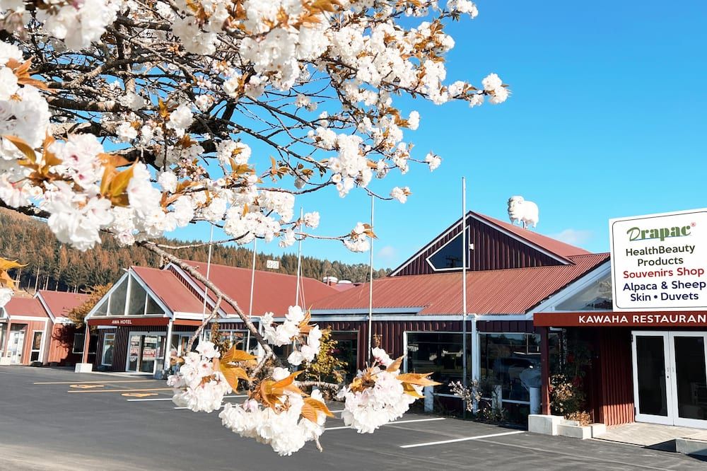 أوا هوتل - روتوروا - مبنى