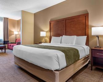 Comfort Inn Amite - Amite - Habitación