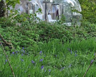 Cromore Retreat - Portstewart - Außenansicht