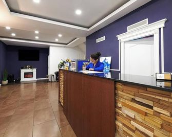 Hotel Liad City Center - Boekarest - Receptie