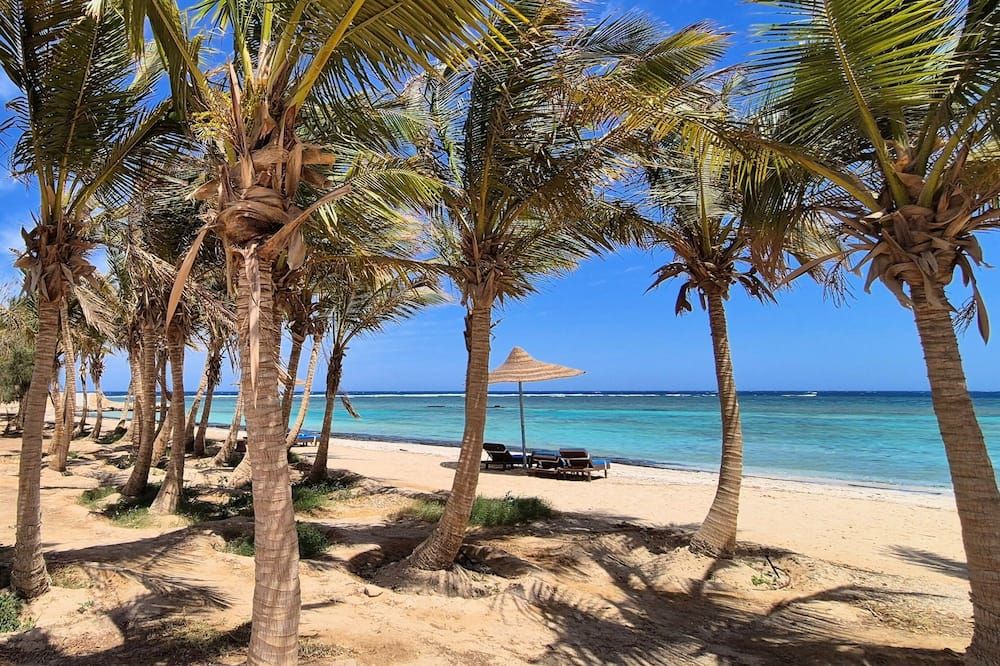 Mangrove Bay Resort - El Quseir - Plage