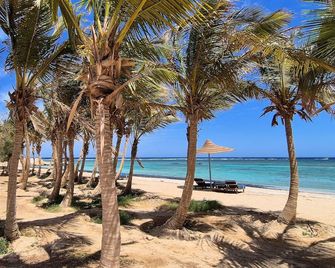 Mangrove Bay Resort - El Quseir - Plage