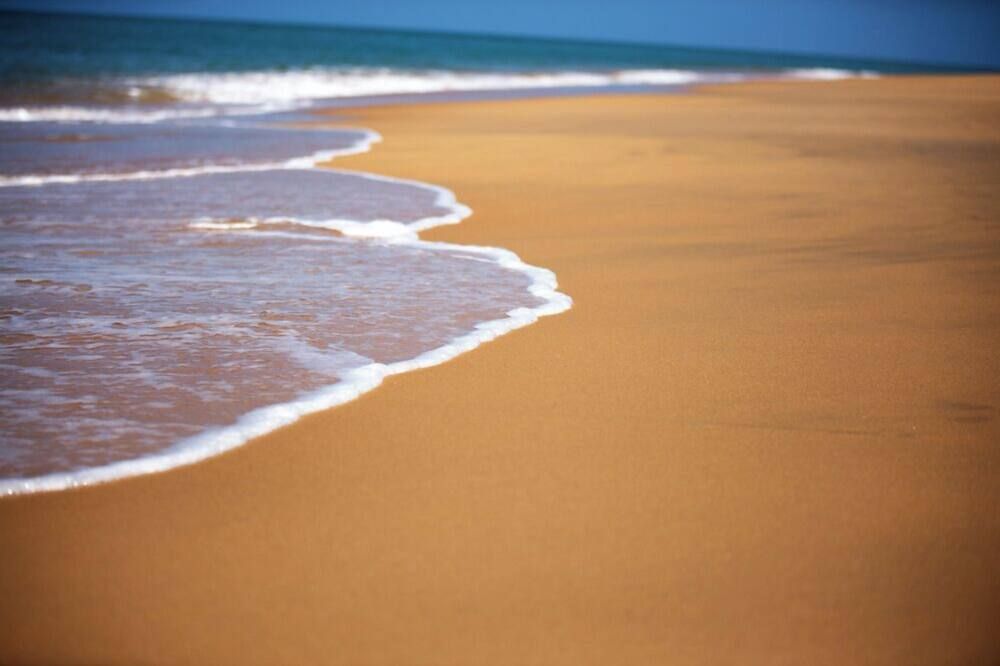 دولفين بيتش ريزورت