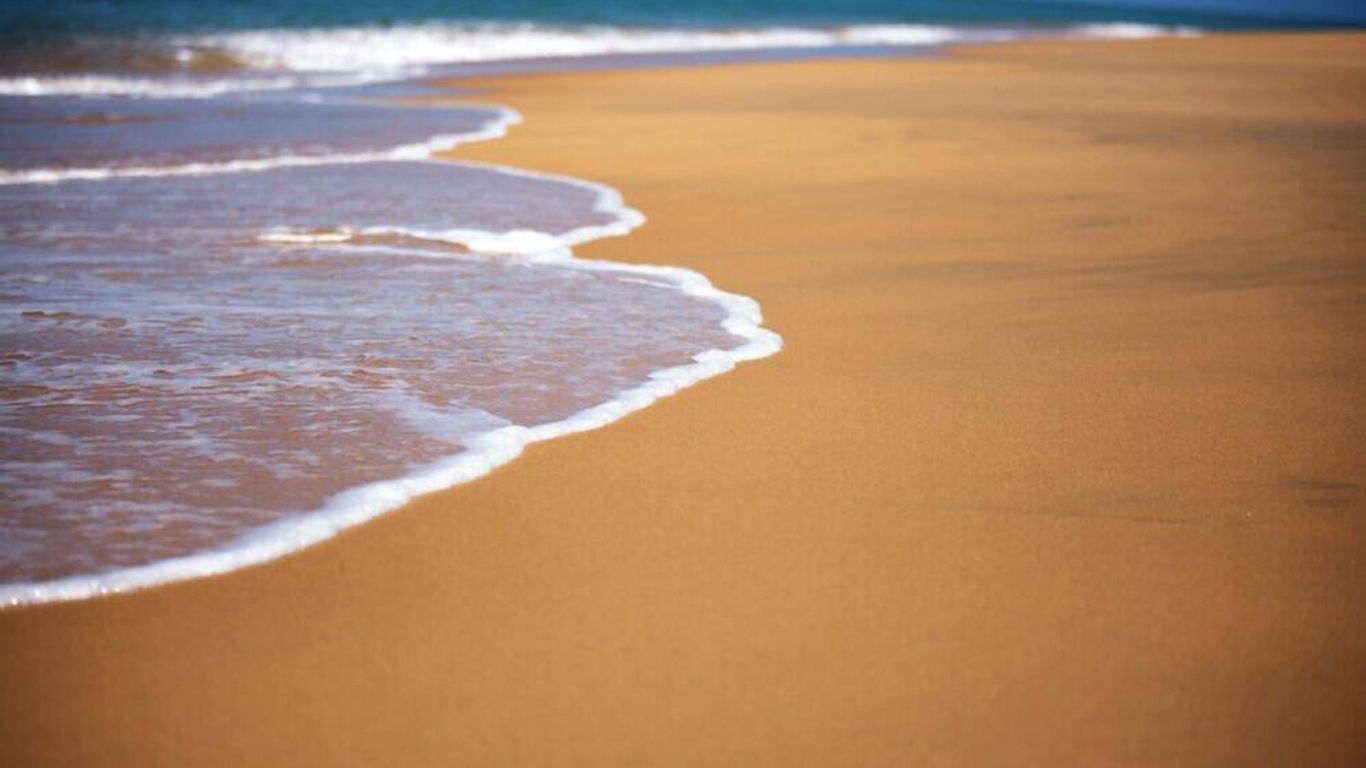 دولفين بيتش ريزورت