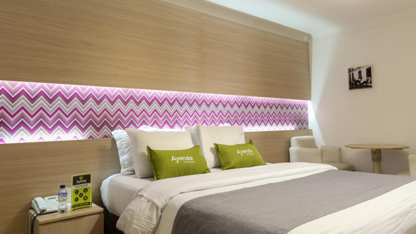 호텔 시우다드 보니타