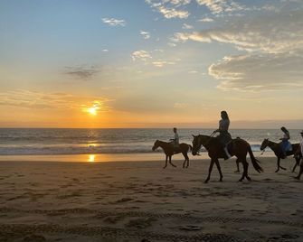 Hotel Royal Mancora - Mancora