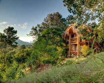 Villa Maria Tayrona, Jungle and Sea Experience - Los Naranjos
