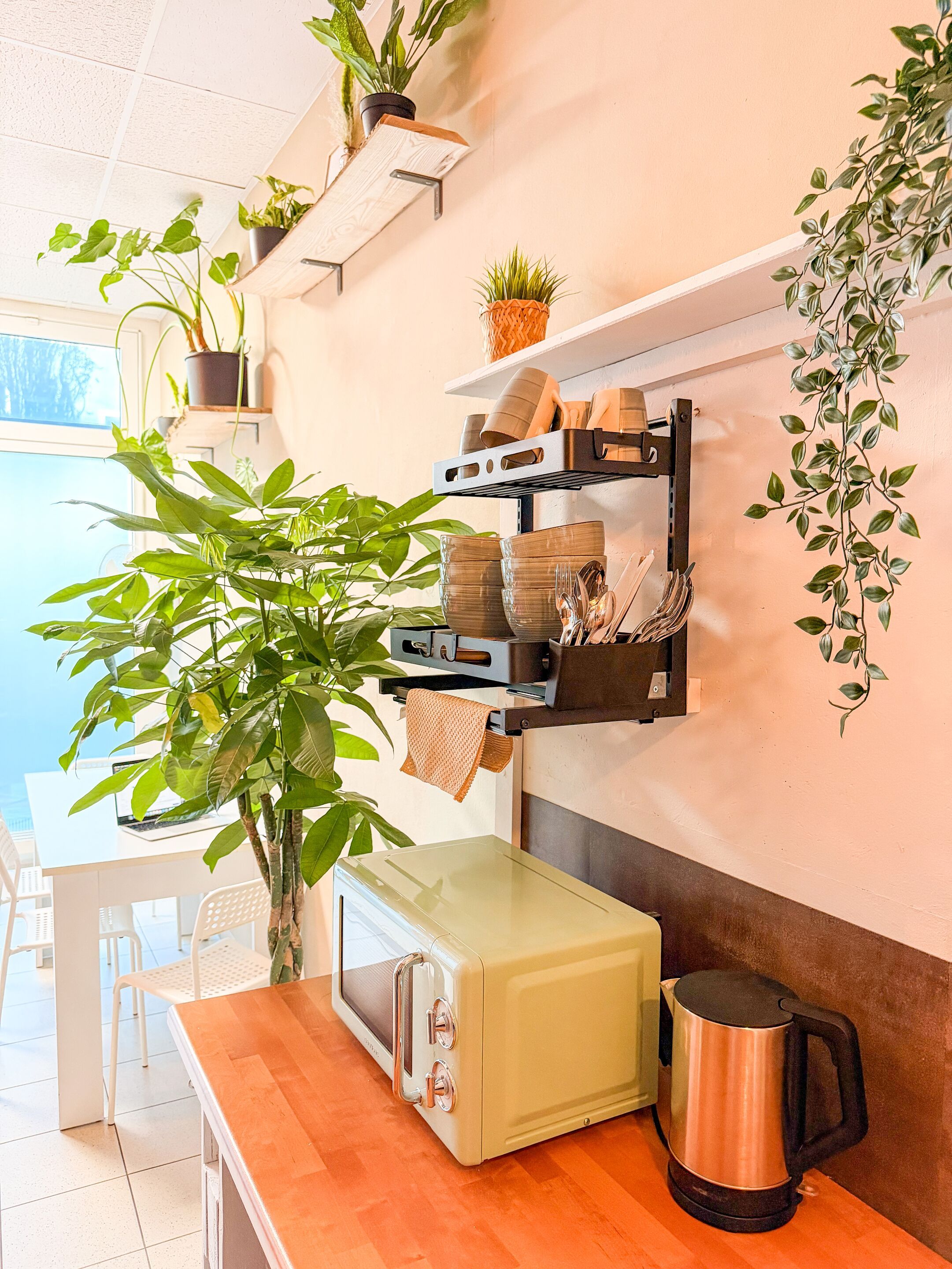 أربان كابسولي - درسدين - بوفيه