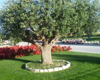 Postiglione Country House - Cingoli - Vista del exterior