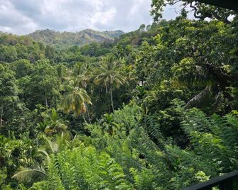 Hill Side Resort - Ella - Badulla - Vista del exterior