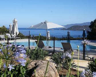 Corsica Paradise - Calcatoggio - Piscine