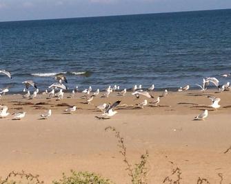 BAITA 5 in independent wood, in the Residence Villa Carla, ideal for 4 people - Vieste - Strand