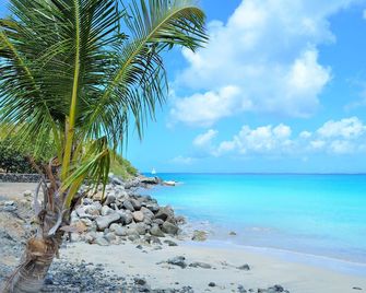 Adonis Cupecoy - Lowlands - Beach