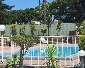 Belmont Palms Motel - Belmont - Pool