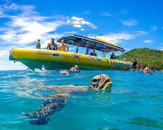 Shingley Beach Resort - Airlie Beach