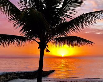 Live by The Sea 4 Private Bed With in Suite Bath Private Sunrise Over The Sea - Treasure Cay - Beach