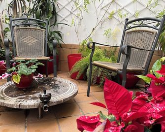 Un Patio al Sur - Seville - Patio