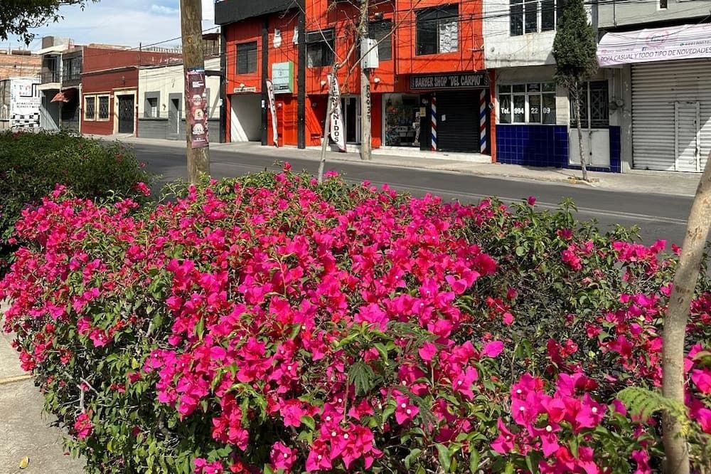 Hotel Posada Jardín Aguascalientes - אגואסקליאנטס - נוף חיצוני