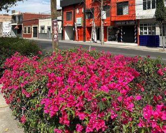 Hotel Posada Jardín Aguascalientes - Aguascalientes - Venkovní prostory