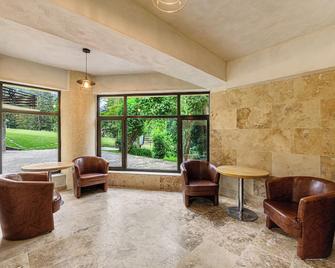 Hotel Casa Viorel jacuzzi & saunas - Poiana Brașov - Lounge