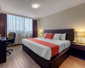 Comfort Inn San Luis Potosi - San Luis Potosí - Habitación