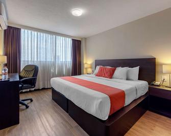 Comfort Inn San Luis Potosi - סן לואיס פוטוסי - חדר שינה