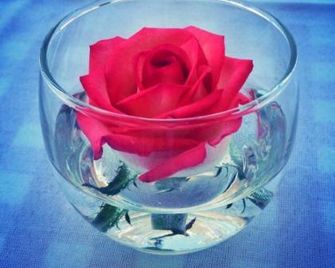 B&B Sabin Ross - Margherita di Savoia