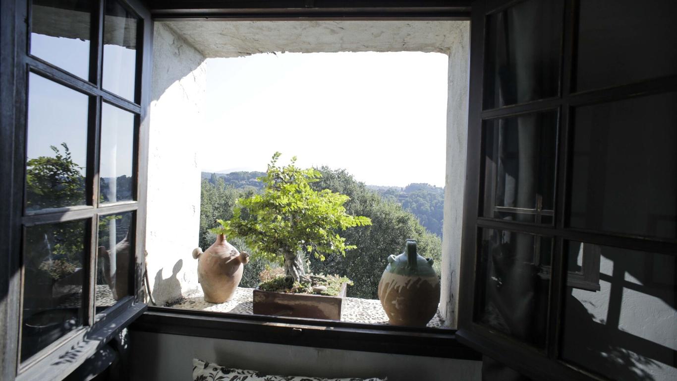 la maison aux bonsais