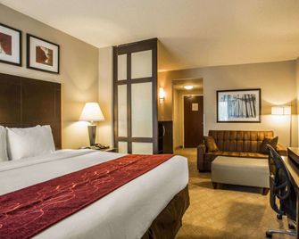 Comfort Suites Huntersville near Lake Norman - Huntersville - Slaapkamer