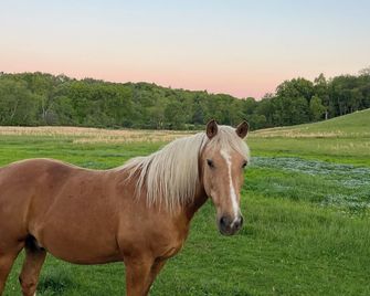 Relaxing Farm Retreat Near Pittsburgh - Fresh Air, Serene views, Creek & Firepit - Indiana