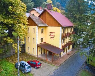 Pensiunea Flora - Baile Tusnad - Building
