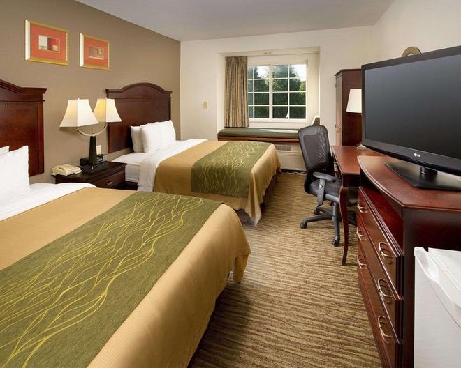 Comfort Inn Suites Airport Dulles Gateway C 83 C 1 8 5