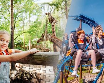 Europarcs Hoge Kempen - Zutendaal