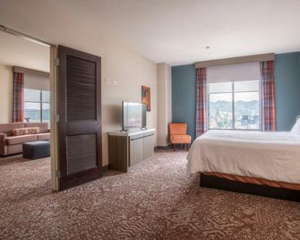 Hilton Garden Inn Mankato Downtown - Mankato - Habitación