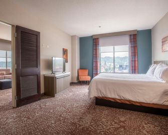 Hilton Garden Inn Mankato Downtown - Mankato - Chambre