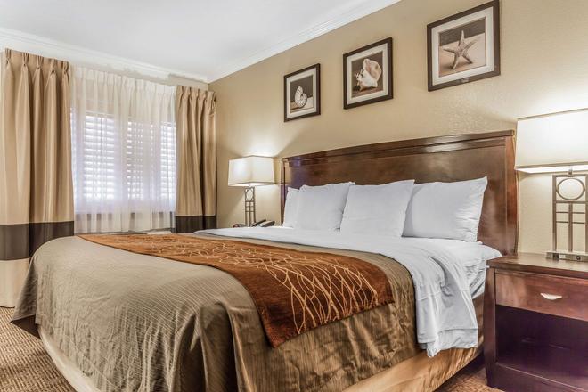 Comfort Inn 71 1 7 1 Santa Cruz Hotel Deals Reviews Kayak