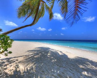 Koimala Hotel - Maamingili - Beach