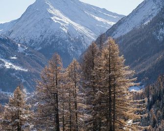 Waldhotel Fletschhorn - Saas-Fee