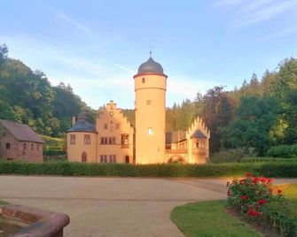 Vacation apartment by the water (castle) in the Spessart - Mespelbrunn