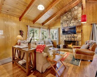 Marin getaway #2013 - Big Bear Lake - Living room